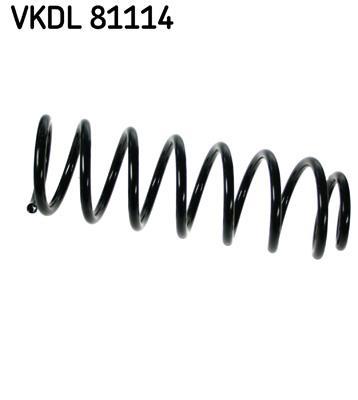 Ressort de suspension (Ressort hélicoïdal) SKF VKDL 81114